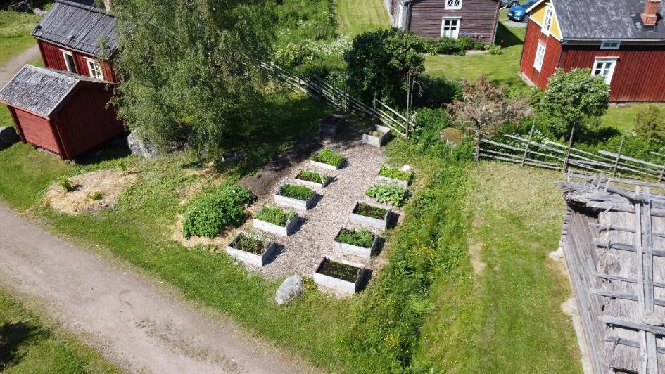 Skolträdgård med odlingslådor på friluftsmuseum