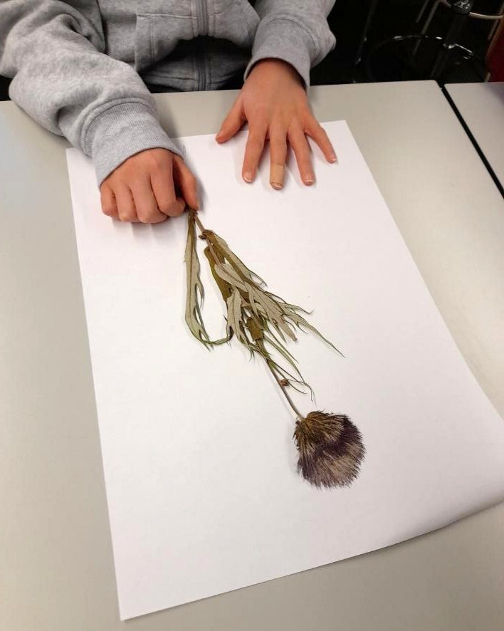 En torkad blomma ligger på ett papper