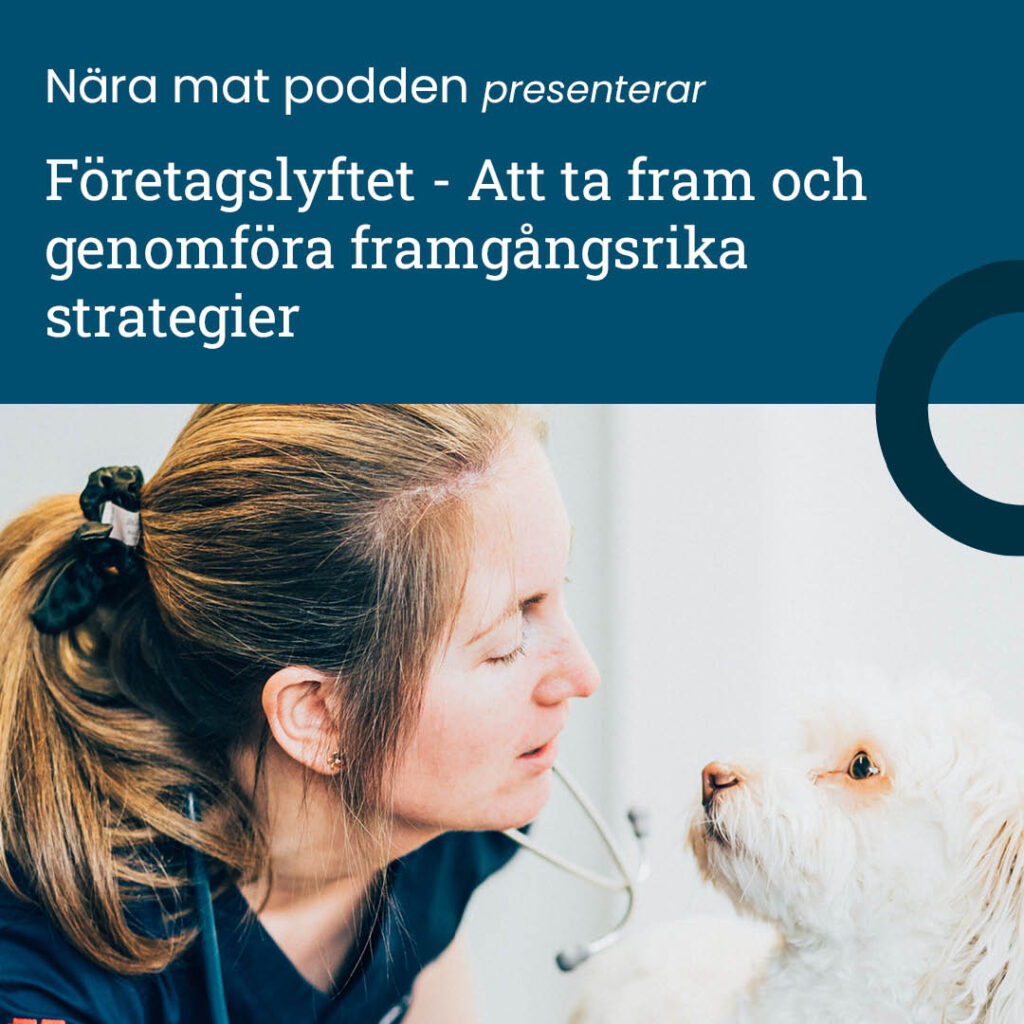 Avsnitt 37: att ta fram och genomföra framgångsrika strategier