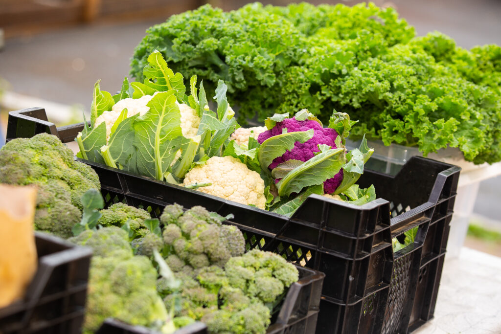 Blomkål och broccolli som ligger i svarta plastbackar