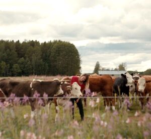 En kvinna står i en kohage och klappar korna