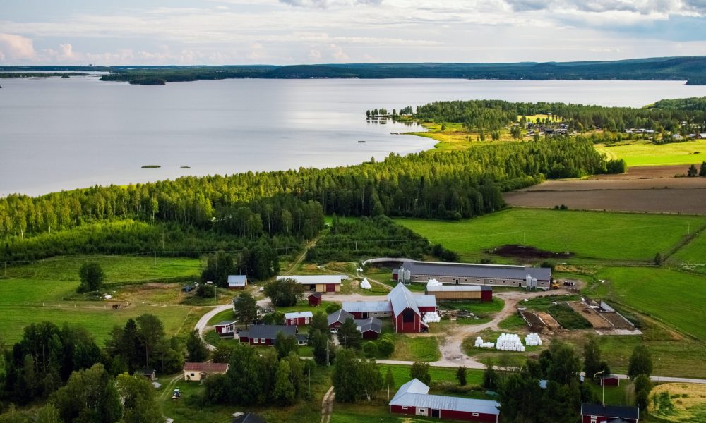 Norrbottniskt landskap med en gård intill en fjärd