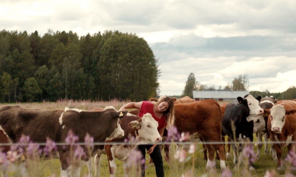 En kvinna står i en kohage och klappar korna