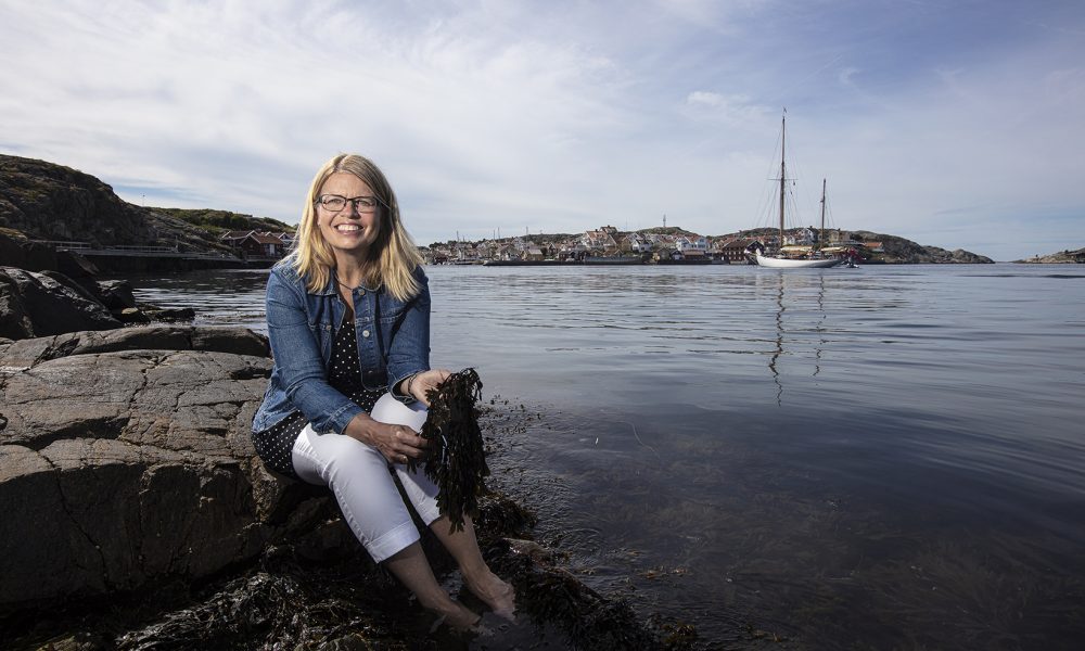 Lillemor Lindberg sitter på en klippa vid havet