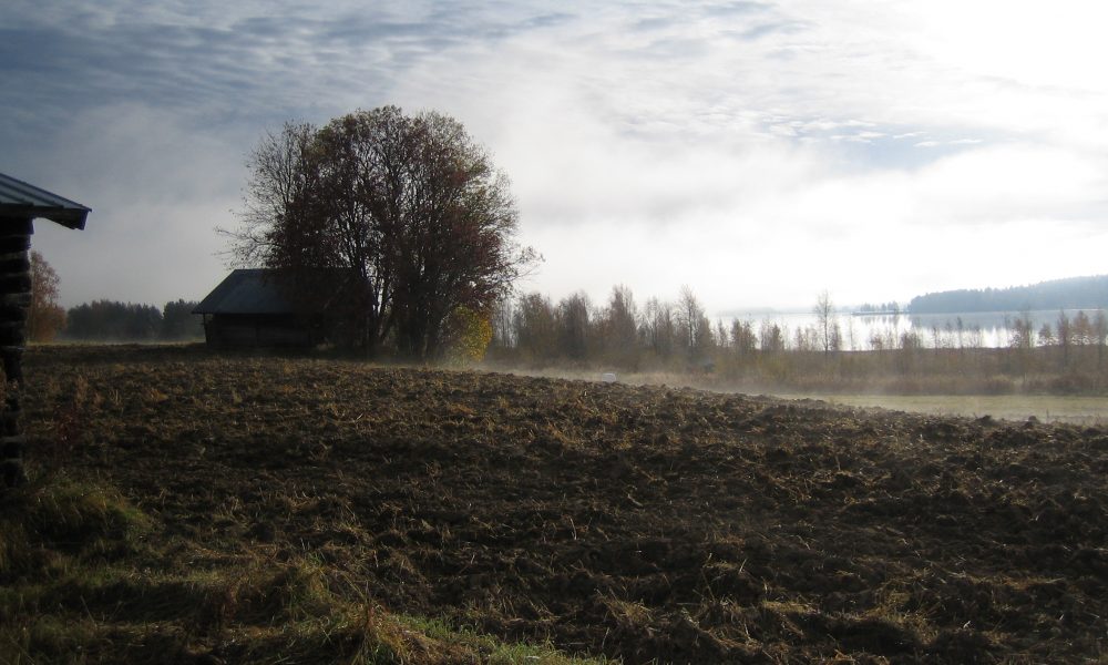 Ett jordbrukslandskap en dimmig morgon