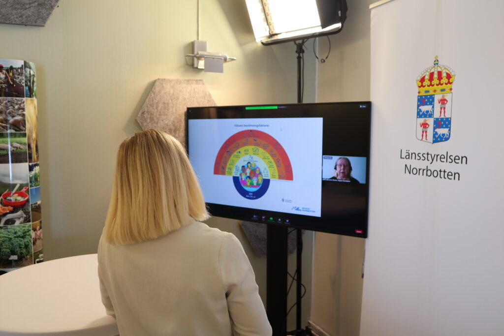 Marianne Öhman i videomöte