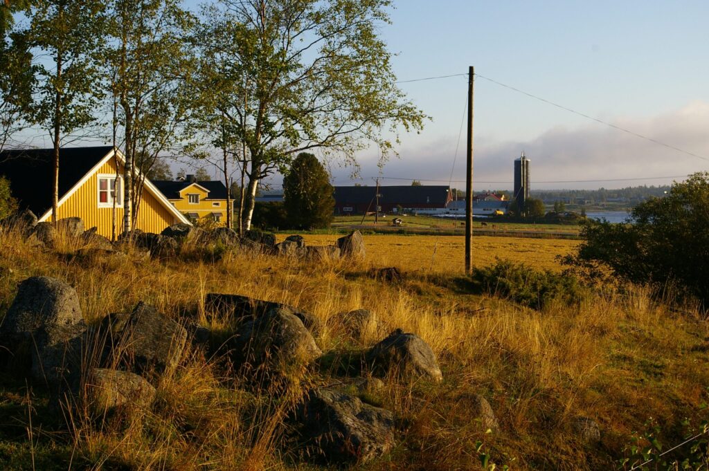 Vy över ett jordbrukslandskap. Ett gult bostadshus i förgrunden och ladugårdsbyggnad i bakgrunden