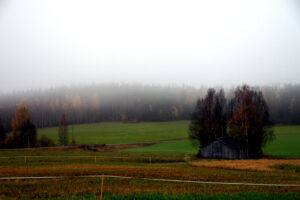 Dimming vy över fält och skog