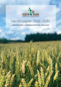 Omslaget till handlingsplanen