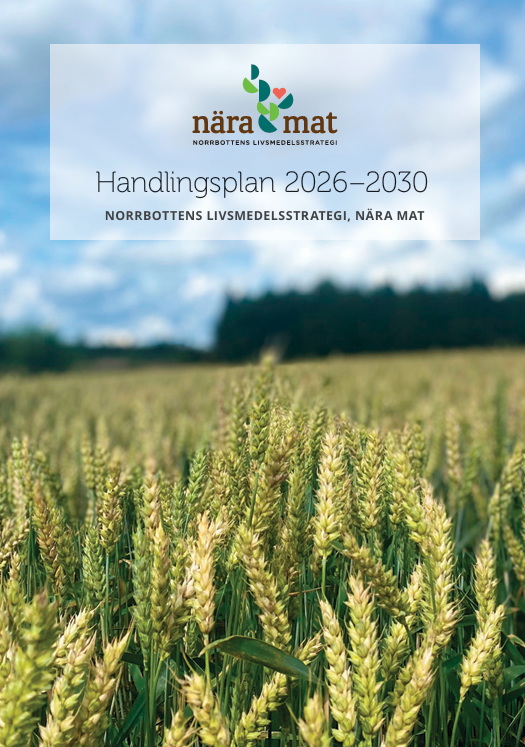 Omslaget till handlingsplanen