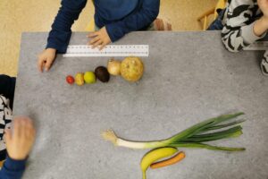 Barn sorterar grönsaker i storleksordning